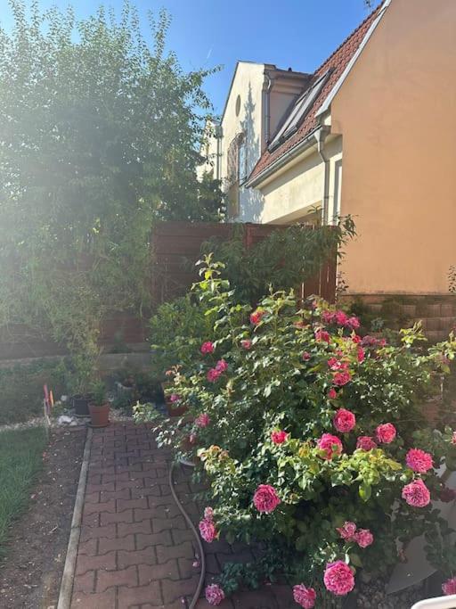 Family-Friendly Prague 5 Stay Eksteriør billede